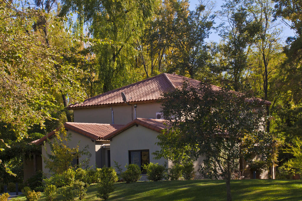 Posada Salentein Los Árboles Δωμάτιο φωτογραφία